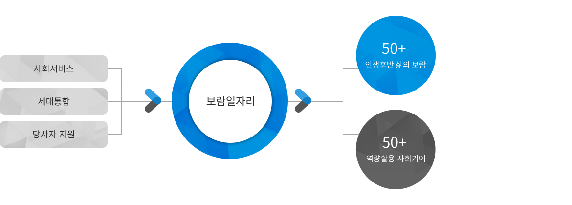 사회서비스,세대통합,당사자 지원 > 보람일자리 > 50+인생후반 삶의 보람,50+역량활용 사회기여