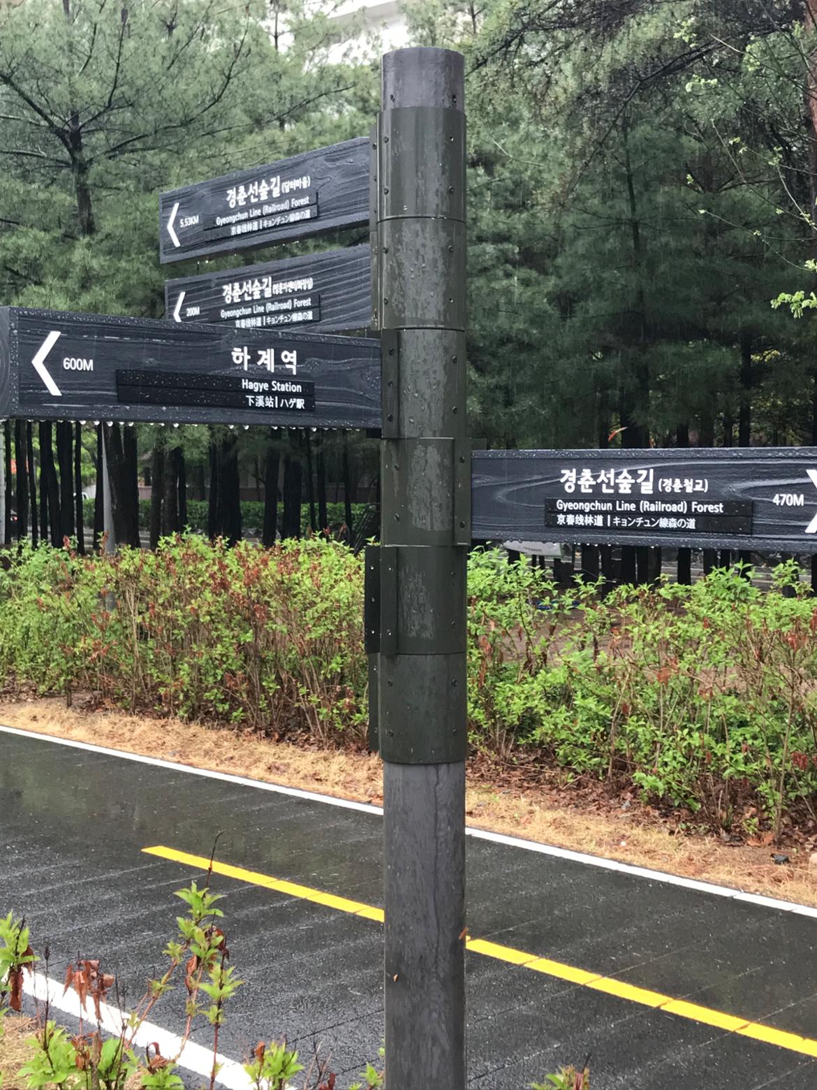 숲길 이미지