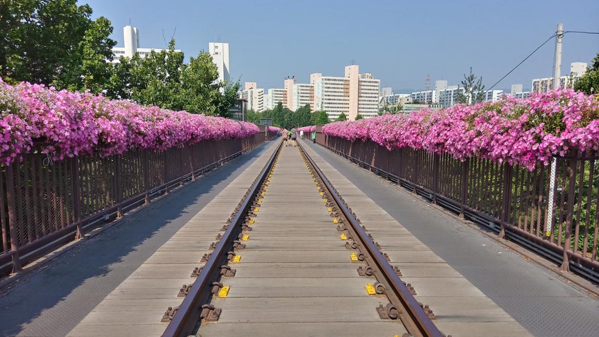 서울시 도심권 | 경춘선 숲길 탐방기