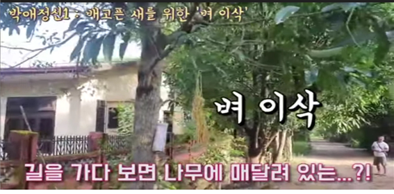 KakaoTalk_20210418_221816601.png