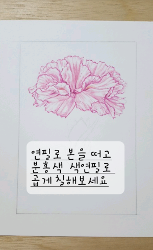 카네이션a.png
