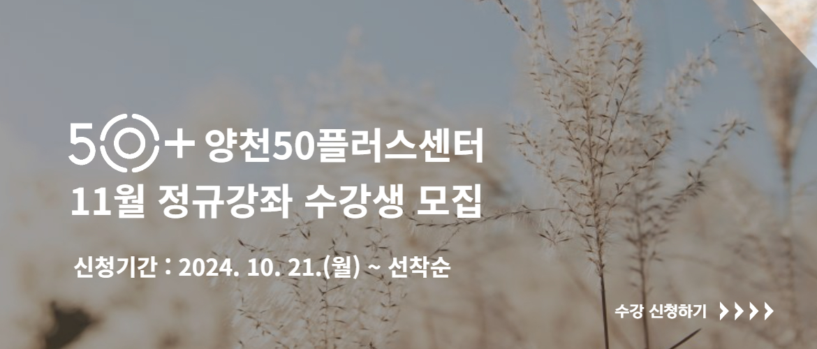 11월 강좌모집