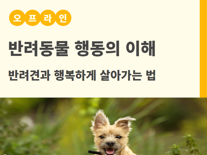 반려동물