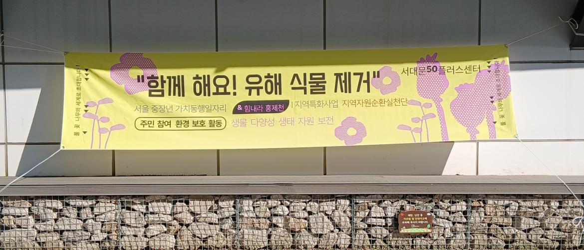 교란식물2.jpg
