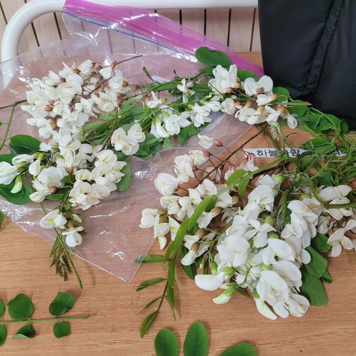 KakaoTalk_20250518_155542709_16.jpg