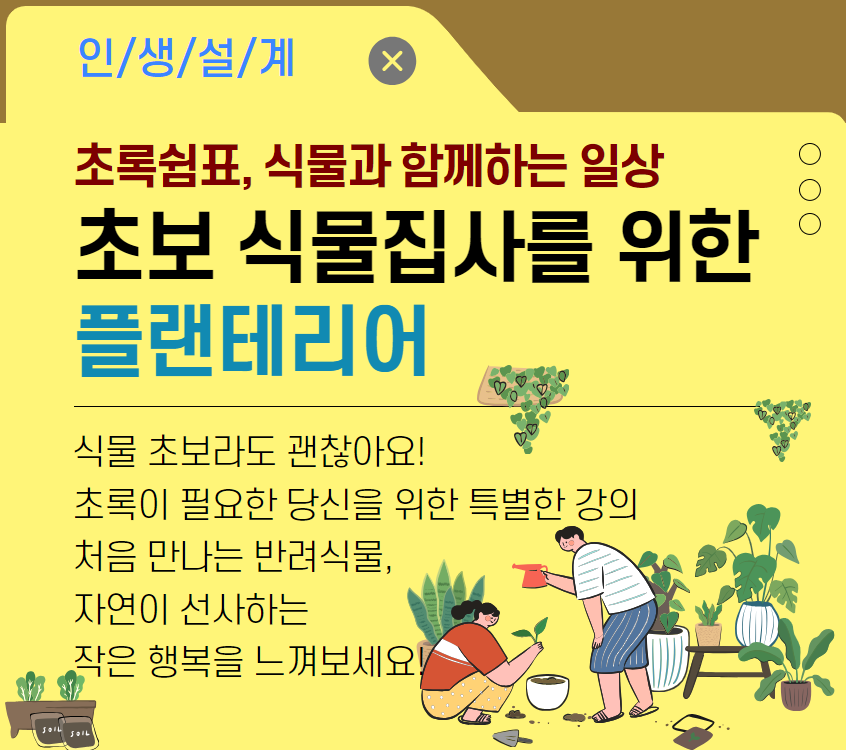 [주거가이드]초보 식물집사를 위한 플랜테리어