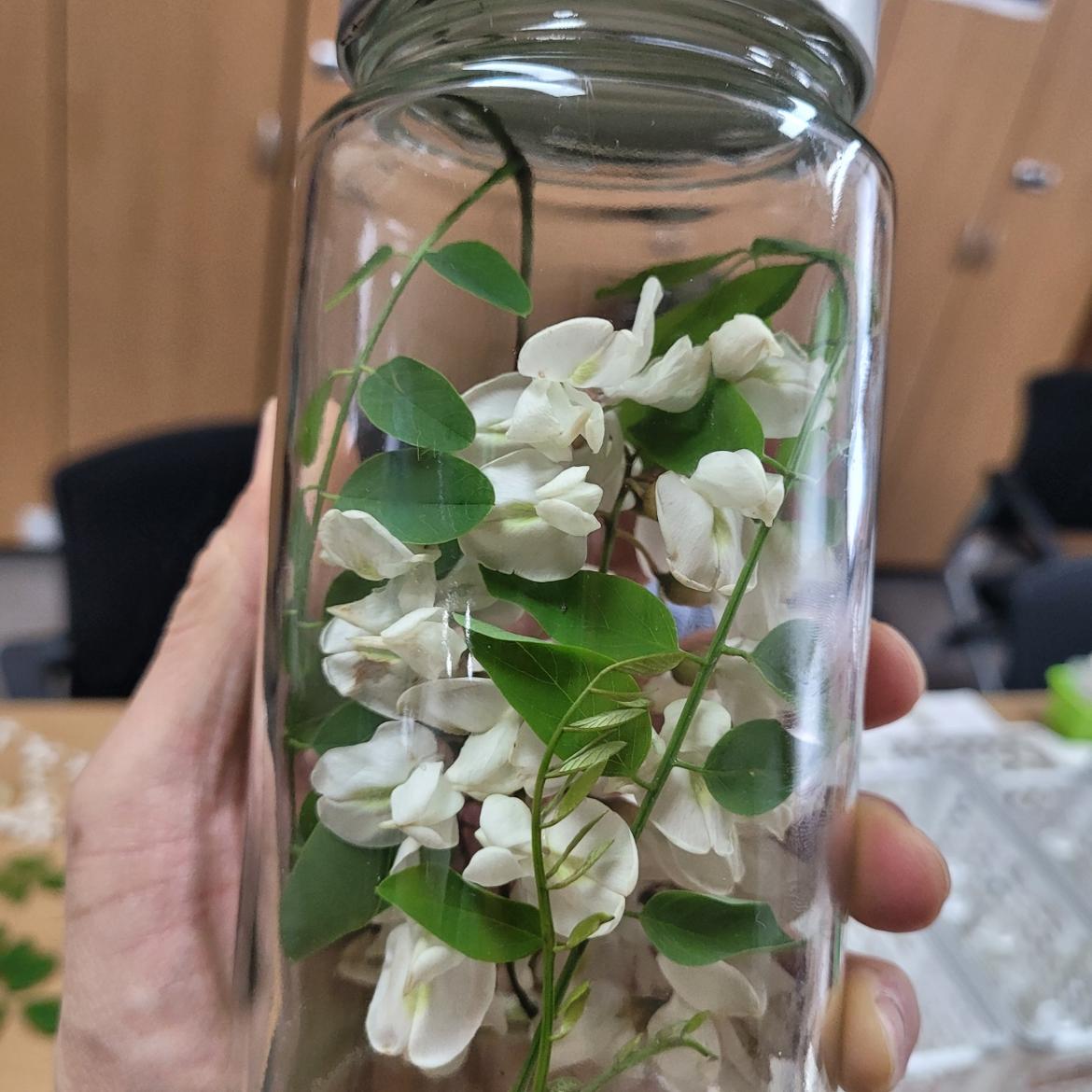 KakaoTalk_20250518_155542709_15+(1).jpg