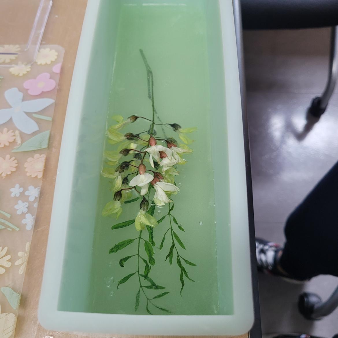 KakaoTalk_20250518_155542709+(1).jpg