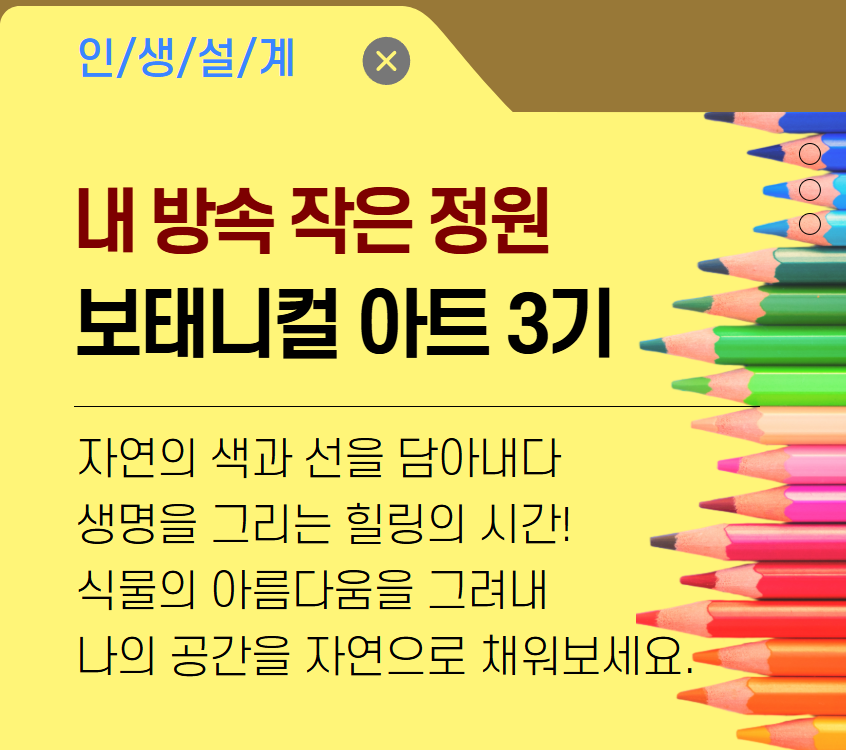 내 방속 작은 정원, 보태니컬 아트 3기